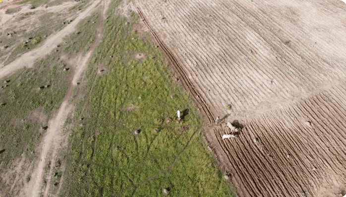 Cartographie drone pour la restauration des écosystèmes dégradés